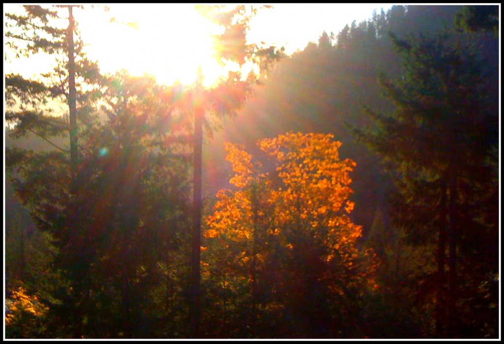 Light Gets In: photo credit - Sandi Amorim Rivendell retreat centre, Bowen Island, BC