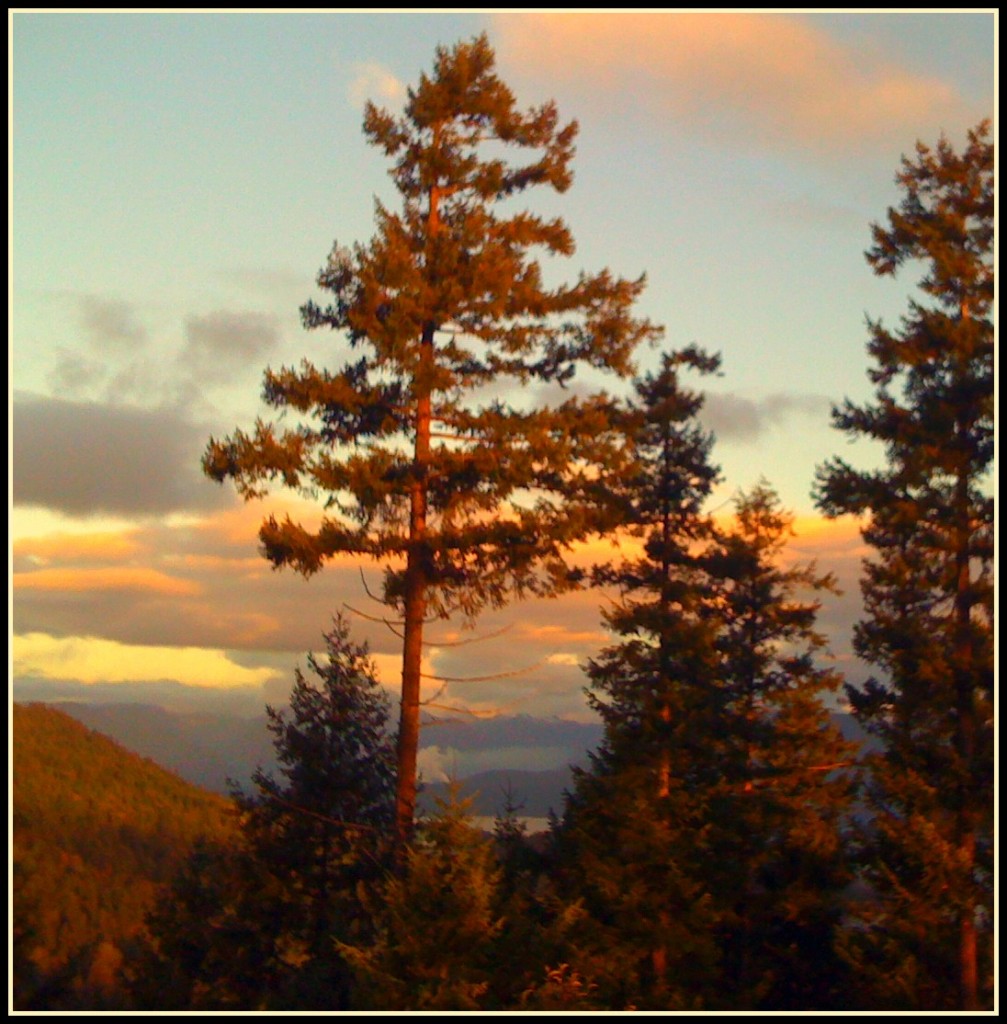 Rivendell Sunrise: photo credit - Sandi Amorim Rivendell retreat centre, Bowen Island, BC
