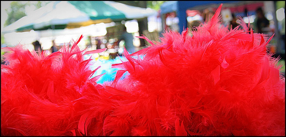 Red Feather Boa