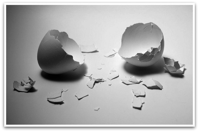 two halves of broken egg shell