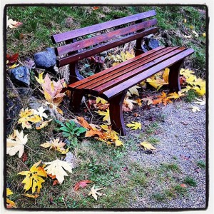 Seat of Solitude: photo credit - Sandi Amorim wooden bench at Rivendell labyrinth, Bowen Island
