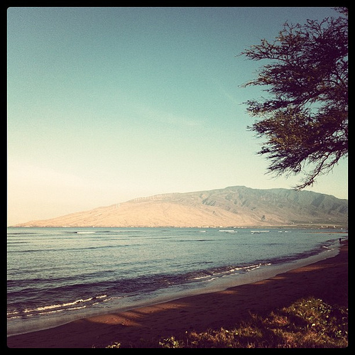 Like Robinson Crusoe: photo credit - Sandi Amorim early morning beach scene, Kihei, Maui