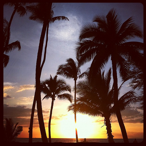 My first Maui sunset: photo credit - Sandi Amorim sunset, Kihei, Maui