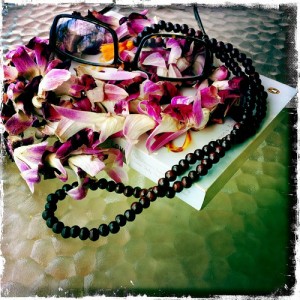 Soothing My Heart: photo credit - Sandi Amorim book, lei, mala beads and glasses