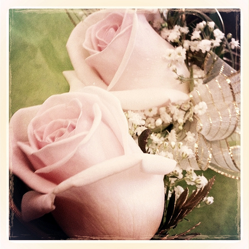 pink rose corsages