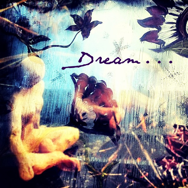 Dream: photo credit - Sandi Amorim collage of dreamlike image