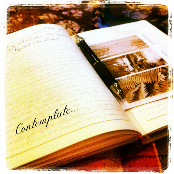 Contemplate: photo credit - Sandi Amorim journal to contemplate what you'd do with only one day left to live