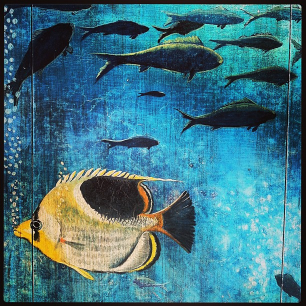 painting of fish