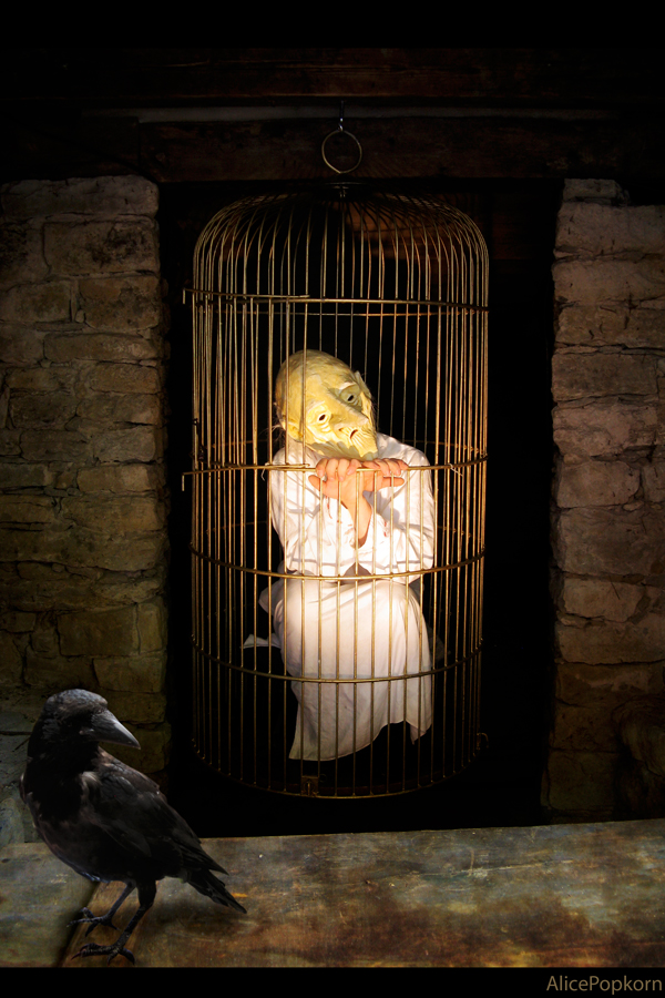 The Cage: image credit - Cornelia Kopp Suffering doesn't make us weak; only an avoidance of suffering makes us weak. Sometimes the only way to get around it is to burn through it. - Marianne Williamson