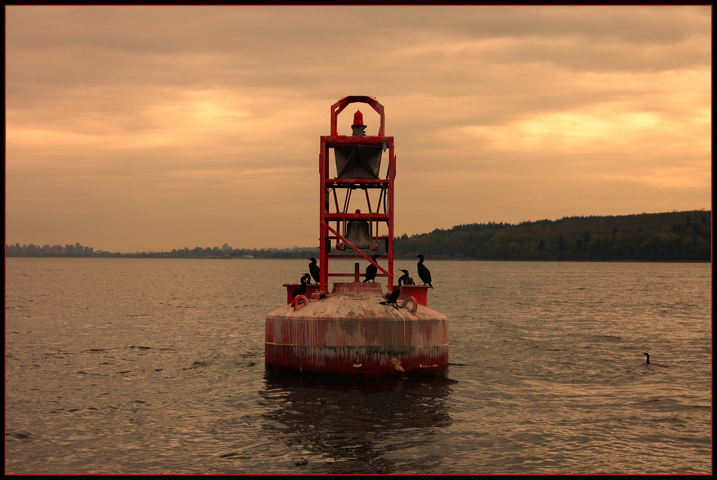 Cormorants on Point Grey Bell Boy, Vancouver, BC, Canada