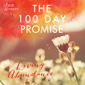 SAM.1705 module cover - square no white box